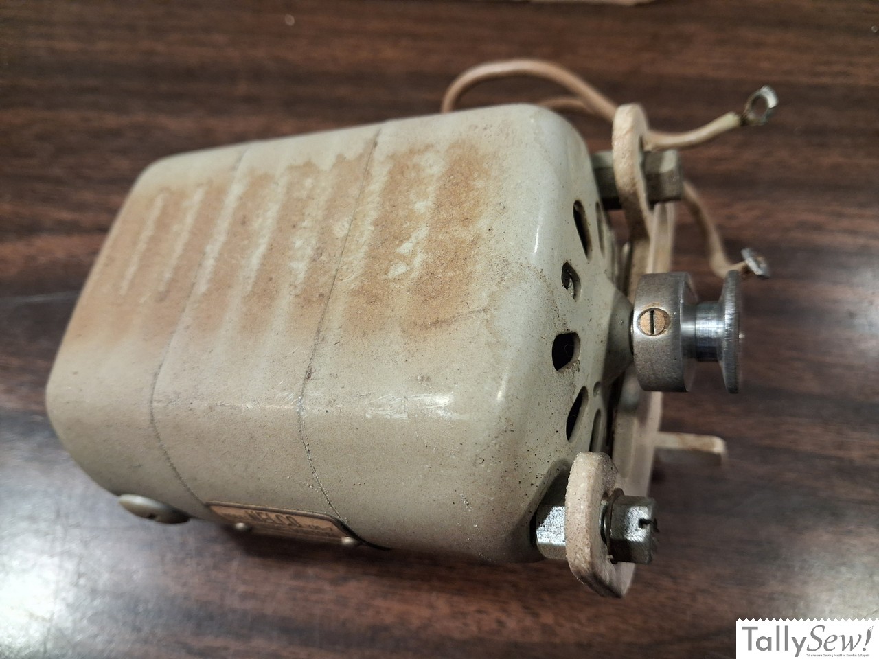 Motor and power leads